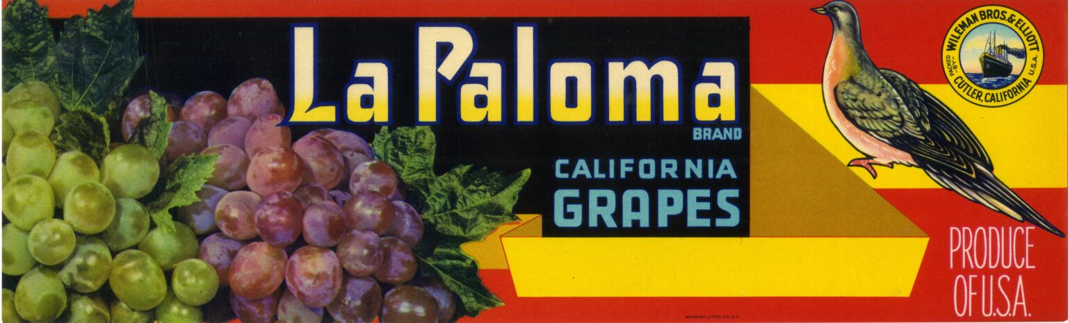 La Paloma La Paloma